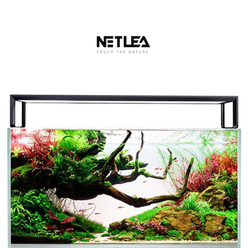 Netlea AT5S V3 Smart Wifi APP  - đánh giá và giá Wifi Led Dimmer