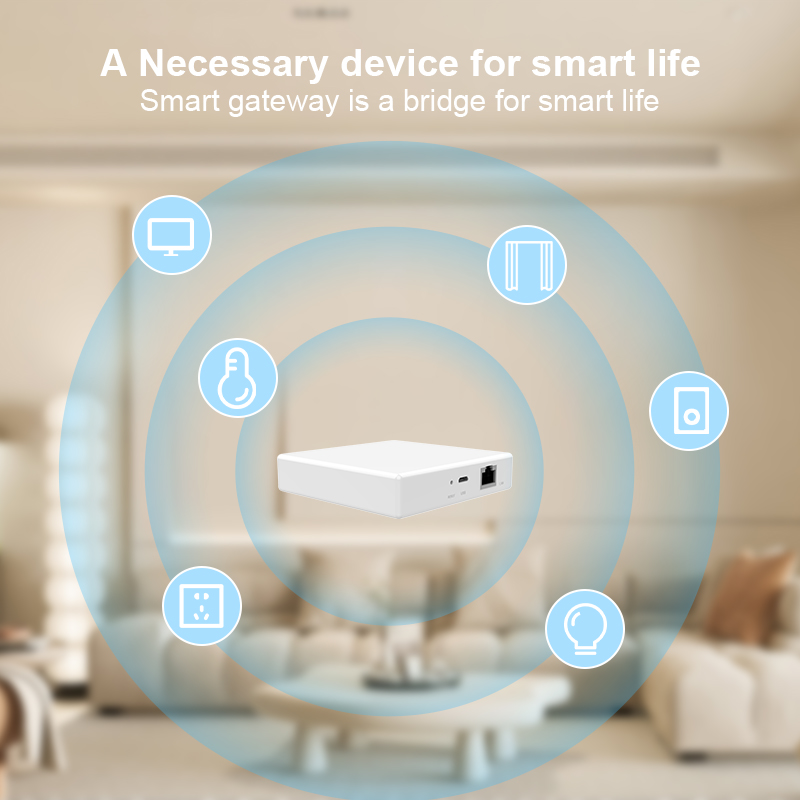 Matter Gateway Hub Homekit Tuy - đánh giá và giá Smart Home Gira