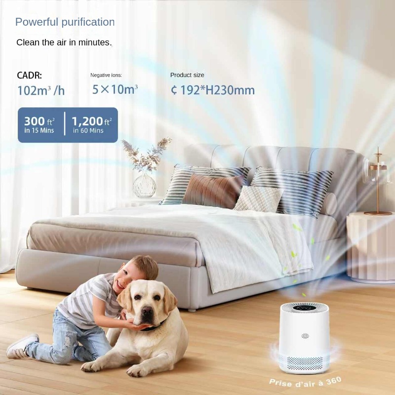 Smart Home Air Purifier with A - đánh giá và giá Smart Air Purifier